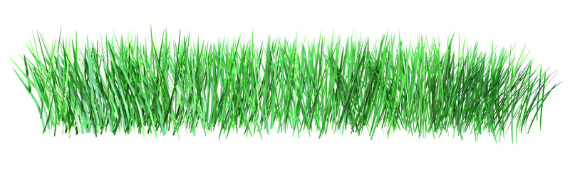 3d illustration of green grass isolated on white background.