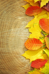 Autumn leaves on the wooden background