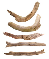 twigs, set macro dry branches isolated on white background, with clipping path, high resolution