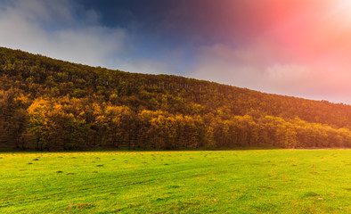 Beautiful spring view. Majestic colorful landscape . Dramatic sky. color in nature. toned