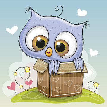 Birthday card with Cute Owl