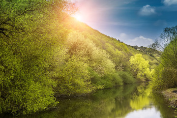 majestic colorful view. beautiful spring landscape with a blossoming tree and the river. color in nature.