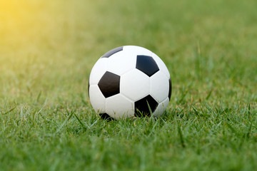 Soccer ball and Football on grass at football stadium in the sun