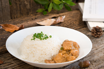 rice with chicken in gravy suace
