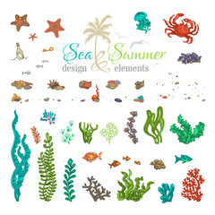 Vector set of underwater sea life design elements.