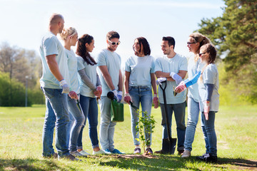 group of volunteers planting tree in park