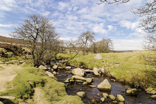 At the side of Burbage Brook flowing through Padley Gorge in the Derbyshire Dales
