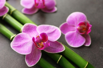 Bamboo and orchids, closeup