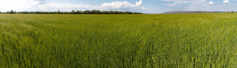 Photo panorama of fields on a sunny day.
