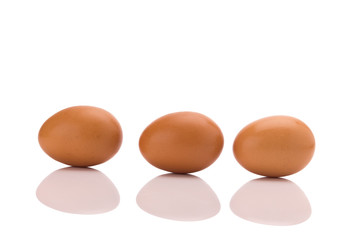 Egg. Isolated on white background