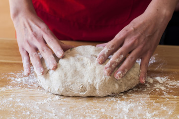 Homemade bread: female hands kneading dough. 