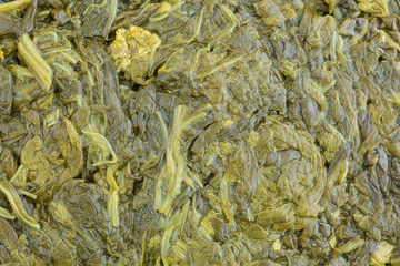 Close view of canned spinach