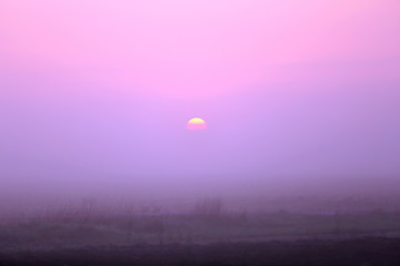 Foggy morning on field