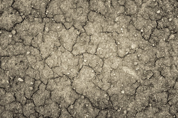 Land with a dry cracked ground , season water shortage.
