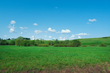 Fototapeta premium Russian spring meadow
