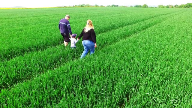Aerial view of overweight parents with her son walking together on green fields. Healthy lifestyle, slimming and outdoor sport. Family enjoying life on countryside. People from drone.