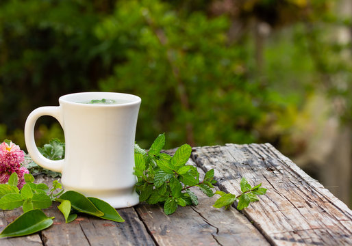Cup of herb tea, herbs on wooden table in garden.