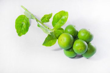 Green Lemons isolated on white background