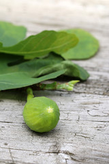 Feige auf Holzhintergrund