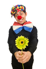 Funny clown with flowers isolated on white