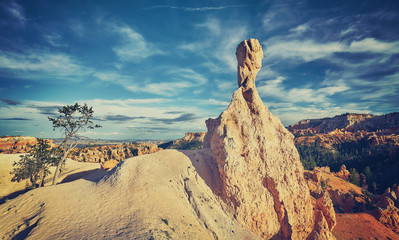 Retro toned Bryce Canyon landscape with hoodoo, USA