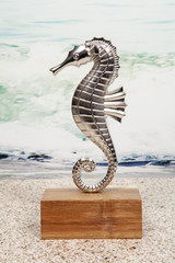Seahorse © CE Photography