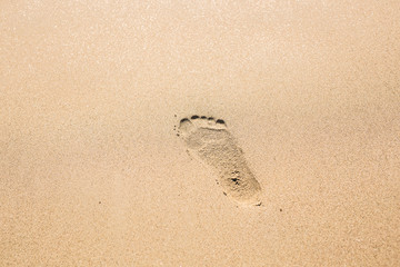 Footprint in the Sand