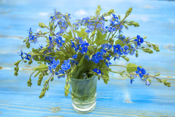 Bunch of wild forest tiny blue flowers on colorful wooden background. Veronica (Germander, Speedwell) flowers