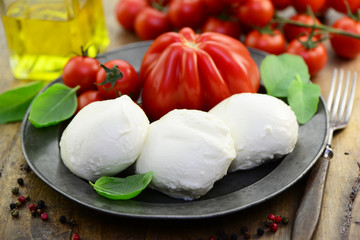 Mozzarella Tomatem