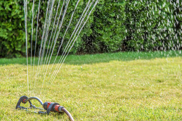 Bewässerung des Rasens für ein saftiges Grün