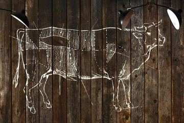 Drawing schemes of a cow