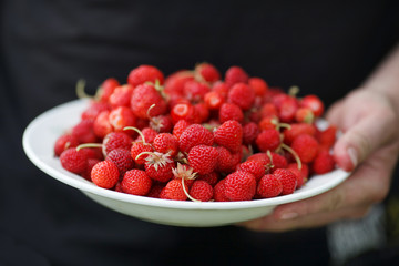 red strawberry, красная клубника, земляника 