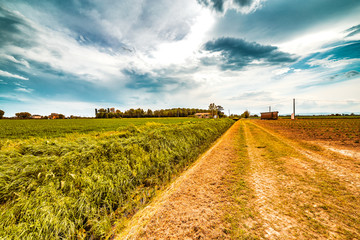 the agriculture fields of Emilia Romagna
