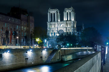 Fototapeta na wymiar Notre dame Cathedral, Paris, Ile de France, France..
