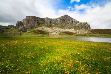 Fototapeta na wymiar Lake Enol with mountains in the background, in the natural park of the Picos de Europa, Covadonga, Asturias, Spain