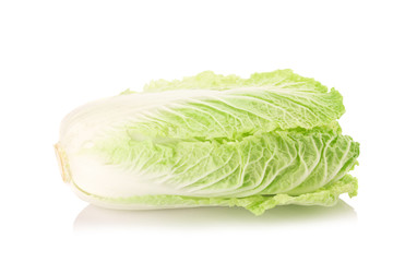 fresh chinese cabbage on a white background