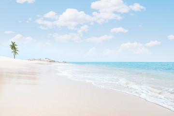 View of nice tropical beach with some palms