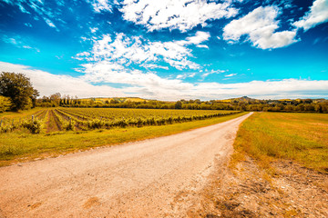 Agriculture on the hills of Tuscany and Romagna Apennines