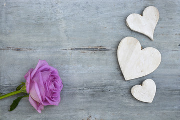 Pink purple rose on a grey old wooden background with white wash heart shape tags with empty copy space
