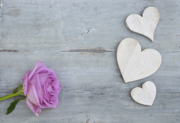 Obraz premium Pink purple rose on a grey old wooden background with white wash heart shape tags with empty copy space 