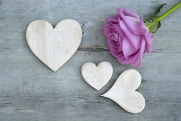 Fototapeta premium Pink purple rose on a grey old wooden background with white wash heart shape tags with empty copy space 