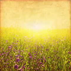 Grunge image of summer field at sunset. © Elena Volkova