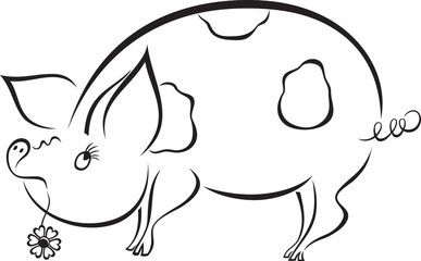 Romantic funny piggy with flower