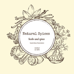 Vector card design with hand drawn spices and herbs. Decorative colorful background with vintage spice sketch.