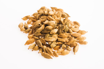 cardamon pods on white background