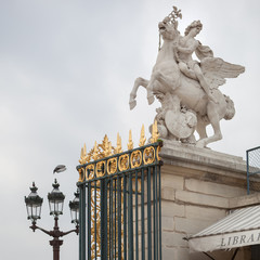 Equestrian statue in Paris