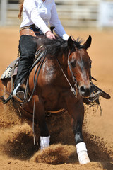 The front view of a rider in the chaps on a horseback sliding his horse forward on the clay field raising up the clouds of dust