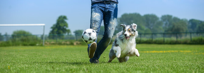 Hund und Herrchen spielen zusammen Fußball - 112161234