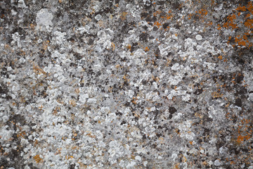 stone texture