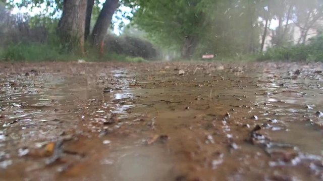rain falling on a road